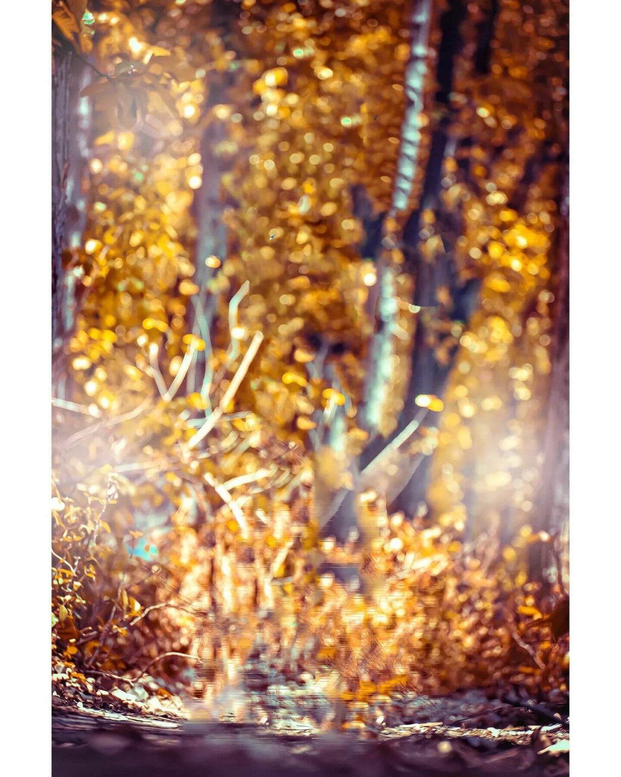 🔥 Snapseed Background Hd Images Download