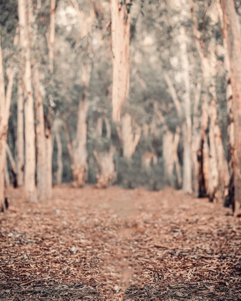 🔥 Snapseed Hd Background