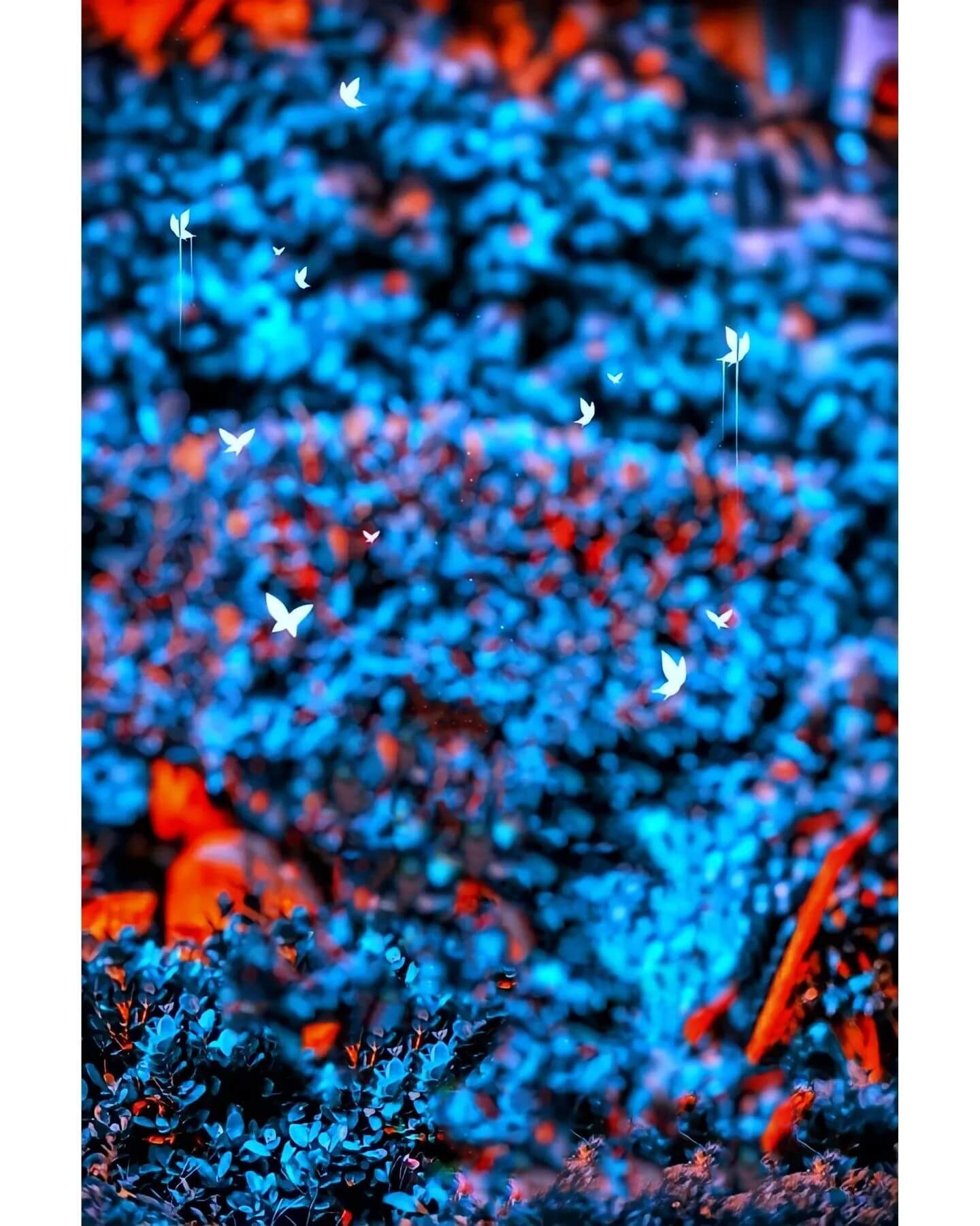 100-top-cb-background-hd-download-free-2024