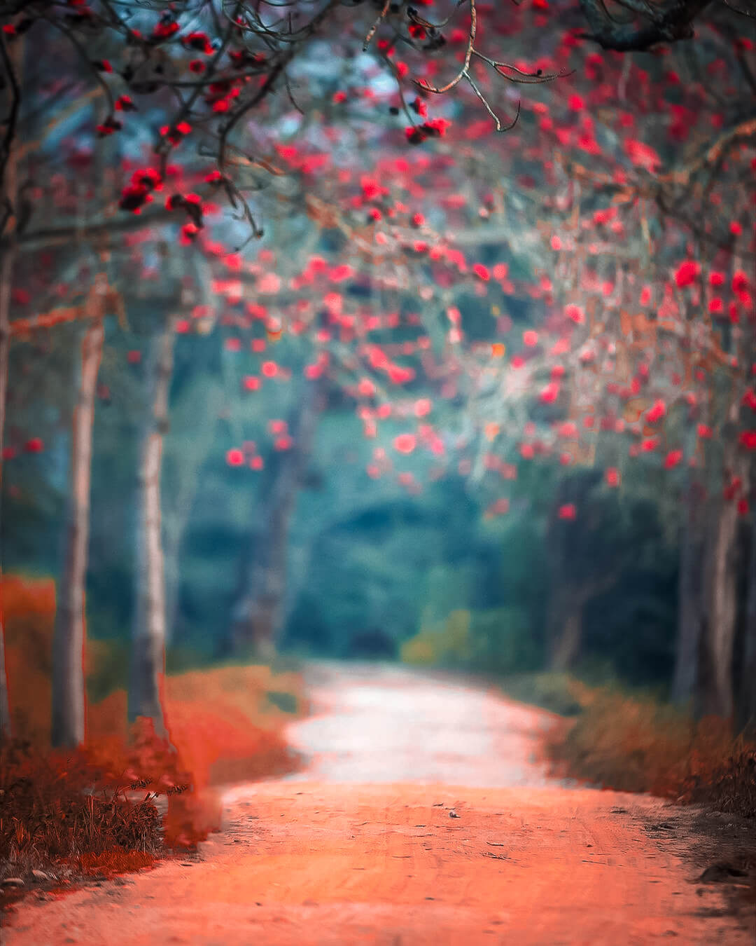 Photo Background Hd Photos Infoupdate